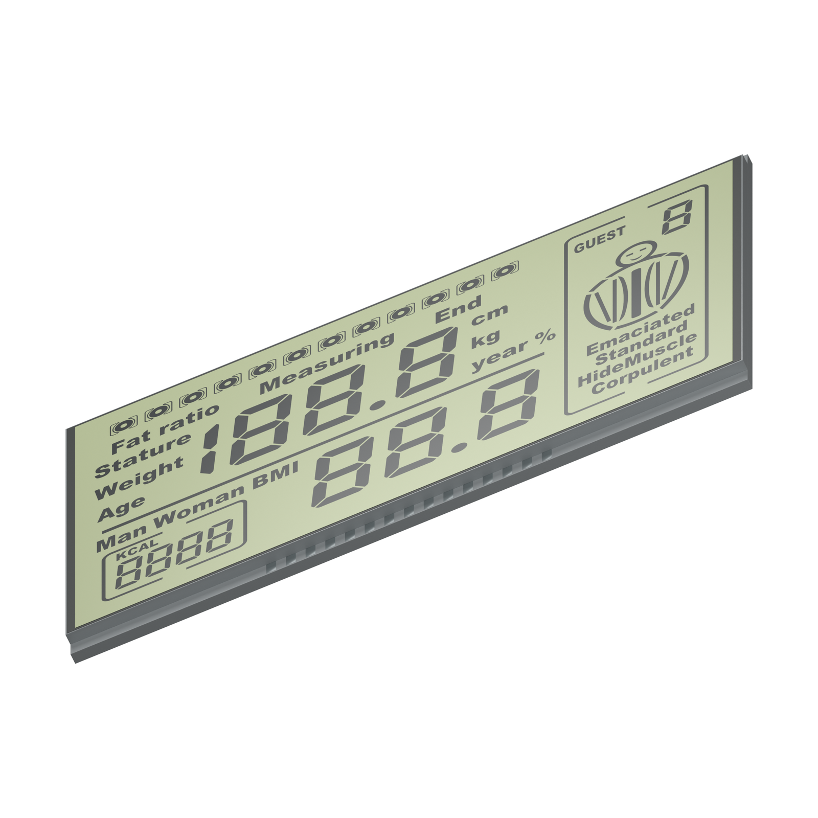 S3689D TN LCD low-angle front rendering on a white background