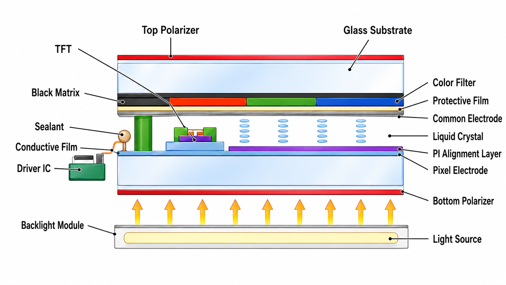 TFT-LCD Array Substrate Structure Explained TFT-LCD panel cell manufacturing stages: Array process, color filter process, and cell assembly process.