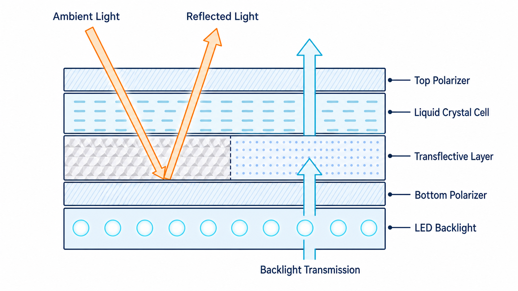 TFT LCD Sunlight Readability: Brightness, AR/AG & Bonding Transflective TFT LCD cross-section with ambient-light reflection and backlight transmission paths